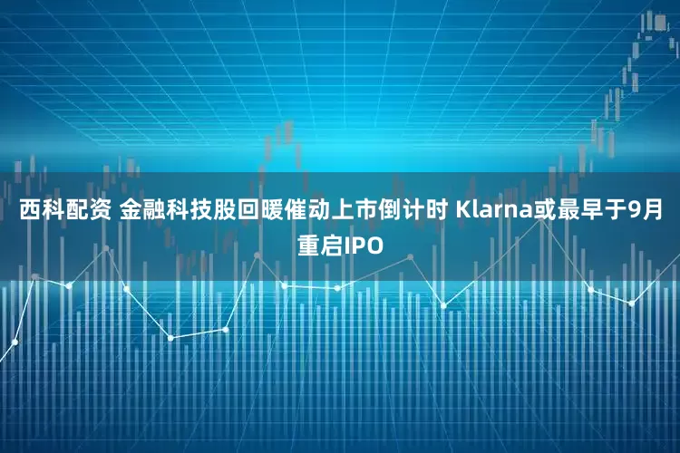 西科配资 金融科技股回暖催动上市倒计时 Klarna或最早于9月重启IPO