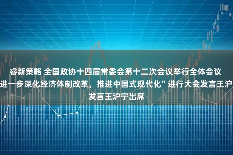 睿新策略 全国政协十四届常委会第十二次会议举行全体会议 围绕“进一步深化经济体制改革，推进中国式现代化”进行大会发言王沪宁出席